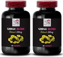 Ginkgo biloba Extract Výhody - Ginkgo BILOBA Extract - Bylinné antioxidant Supplement, Natural Leaf Extract, Ginkgo biloba antioxidant Podpora, Rastlinný extrakt antioxidant 2 Fľaše 120 Kapsule
