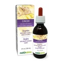 Naturalma Ginger (Zingiber officinalis) Rhizome Alkohol-Free Tinture - 4 fl oz Liquid Extract in Drops - Bylinné doplnky - Vegan