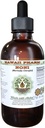 Noni Liquid Extract bez obsahu alkoholu, Organic Noni (Morinda citrifolia) Sušený Ovocný glycerit Natural Herbal Supplement, Hawaii Pharm, USA 2 fl.oz
