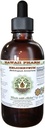 Helichrysum Liquid Extract bez obsahu alkoholu, Organic Helichrysum (Helichrysum Arenarium) Sušený kvet glycerit Hawaii Pharm Natural Herbal Supplement 2 oz