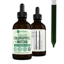 360 Nutrition Matcha Chlorofyl Tekuté kvapky s L-Theanine, Gluten Free & Vegan Internal Deodorant Supplement, Podporuje Gut Health, Trávenie, Energia, Radiant Skin, Rýchla absorpcia, 60 Servisov
