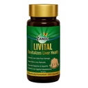 Zandu Livital Tablety, 100% Ayurvedic zložiek, chráni pečeň proti rôznym Hepat Oocie 