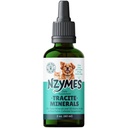 Nzymes® Tracite Minerály pre domácich miláčikov - Fulvová kyselina, kyselina Humidová a na báze železa Stopové minerálne kvapky a aminokyseliny pre ATP energiu a trávivé zdravie - vyrobené v USA