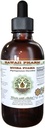 Muira Puama Liquid Extract bez obsahu alkoholu, Organic Muira Puama (Ptychopetalum Olacoides) Glycerit Natural Herbal Supplement, Hawaii Pharm, USA 4 oz