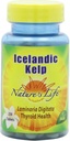 Nature's Life Kelp, Iceland, 41 Mg, Laminaria Digitata, 250 tabliet, (Pack of 2)