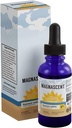 Noscent jód Organic Daily Health Supplement High Potency 2% Concentrated Liquid jód kvapky podporuje energiu a metabolizmus (1oz/30ml)