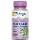 SOLARAY Garantovaný Potency Olive Leaf Extract Double Strength, Veg Cap (Btl-Plast) 500mg 30ct