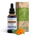 Tajomstvá tekutého extraktu bez obsahu alkoholu z kmeňa Tribe California Poppy Tinture, USDA Organic California Poppy (Eschscholzia California) Sušený koreň (2 FL OZ)