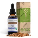 Echinacea Root USDA Organic Tinture 
