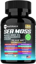 Sea Moss with Black Seed Oil, Vitamin C, Ashwagandha and Turmeric for Immune Support & Energy - 60 Vegan Capsules + Free Pill Box