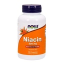 Teraz potravinové doplnky, Niacín (vitamín B-3) 500 mg, Essential B-Group Vitamín*, Nutritional Health, 100 kapsúl