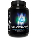 Inteligentné laboratóriá Glukozamín a Chondroitín High Strength Complex s MSM 