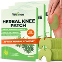 Wellnee Original Herbal Knee Patche - Wellknee Plaster pre Knee Support & Muscle Pain - Maximálna sila pre dočasnú úľavu - Adhezívne Heat Patches Vyrobené s prírodnými bylinami pre wellness (30 Pads)