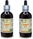 Queen's Root (Stillingia Sylvatica) Tinktúra, Sušené korene tekutý extrakt (nazov: bylinnýTerra, hrdo vyrobené v USA) 2x4 fl.oz (2x120 ml)