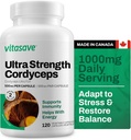 Vitasave Cordyceps Mushrom Supplement 