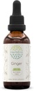 HerbEra Ginger B60 Rastlinný extrakt bez obsahu alkoholu Tinktúra, superkoncentrovaná zázvor (Zingiber officinale) 2 fl oz