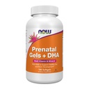 Teraz doplnky, prenatálne gély + DHA s 250 mg DHA na porciu, plus Borage Oil (GLA), 180 Softgels