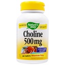 PRÍRODA Choline 500 mg 100 tabliet