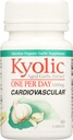 Aged Cesnak Extract, 1000 mg, 30 Caplets - Wakunaga - Kyolic by Wakunaga - Kyolic