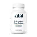 Vital Nutrients - Astragalus Root Extract - Vegan Formula - Bylinná podpora imunitného systému - 90 Vegetariánske kapsule na fľašu - 300 mg
