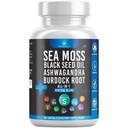 Silicon Sea Moss Black Seed Oil Ashwagandha Bladderwrack Burdock - 60 Počet