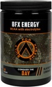 BFX energie pred tréningu prášok doplnok (BlackBerry citróna) s BCAA, Electrolytes, a zelený čaj Leaf pre prírodné kofeín, Intra a po tréningu svalovej zotavenie, 30 slúži