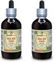 Xia Ku Cao, Prunella (Prunella Vulgaris) Tinculation, Organic Sušená Spike Powder Liquid Extract (Brand Name: HerbalTerra, Proudly Made in USA) 2x4 fl.oz (2x120 ml)