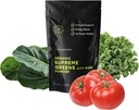 Organické Superfood Greens Powder s MSM, pre zdravie Gut, trávenie, imunitná podpora, energia, a viac (Cukor zadarmo, Non-GMO, Keto, Vegan), 60 Servings, 30 Day Supply
