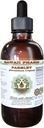 Petržlen bez alkoholu tekutý extrakt, petržlen (Petroselinum Crispum) Root Glycerit Natural Herbal Supplement, Hawaii Pharm, USA 2 fl.oz