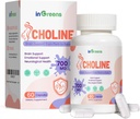Prenatálny cholín doplnok, 500 mg, s Inozitol, B1, B6, Vývoj mozgu v Utero/Early Life, Zvýšenie obsahu cholín v materskom mlieku, 30 dní