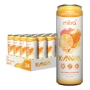 MITRA-9 Botanické nápoje - Orange Dreamsicle Sparkling Kava drink s Kava Root Extract - Mood Enhancer - Plant Based - podporuje prírodný pokoj a jasnosť (12 Fl. Oz) (24)