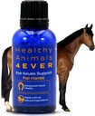 HA4E - Horse Eye Health Support - Udržuje normálne hladiny minerálov pre zdravé oči - Vysoko účinné, prírodné Homeopatické doplnok - 300 Tablety
