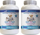 PET DOPLNKY A NUTRITION LLC Pes Dentálna hygiena - Psy Total Health Control - Immune Support - Hair Skin Nails Oral Eye Health Formula - Orálny vápnik pre psy - 2 fľaše (120 Treats)