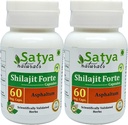Shilajit Forte Kapsule 500 mg. 60 Veg. Kapsula 