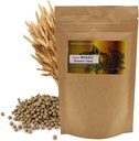 Natural Organic Brewer 's kvasinkové pilulky 