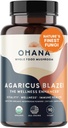 Aloha Medicinals Pure Agaricus Blazei 500 mg 90 Vegetariánske kapsuly Certified Organic