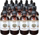 HawaiiPharm Olive (Olea europaea) Organic Supplyed Leaf Veterinary Natural Alcohol-Free Liquid Extract, Pet Herbal Supplement 15x4 oz