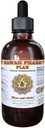 Ľan tekutý extrakt, organický ľan (Linum usitatissimum) Tincurt Supplement 4 oz