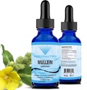 Absonutrix Mullein 300 mg, 4 Oz Liquid, 300 Servings, Made in USA, rýchla absorpcia, Quality Potent Ingredients, non-GMO, GMP Certified Facility, Cruelty-free Products