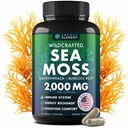 Sea Moss Kapsule - Írske Morské Moss Pokročilé s Burdock Root, Bladderwrack & Muira Puama pre Imunita, Gut, & Energy - Superfood Sea Moss Supplements w/Raw Sea Moss Powder - 120 Írske Seamos Pills