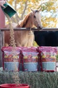 Mega Dose 40 LB, Equine Vitamín Minerál s plnou službou Konskej gardy Supplement & Hoof Guard